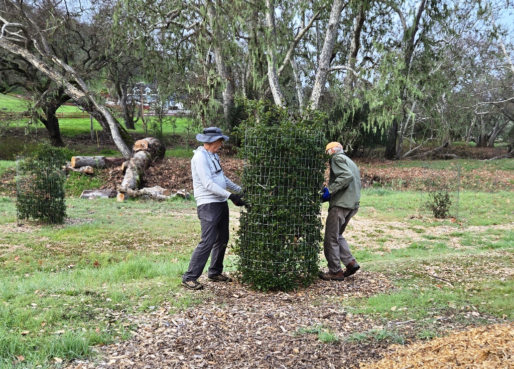 Dave and John removing a cage.